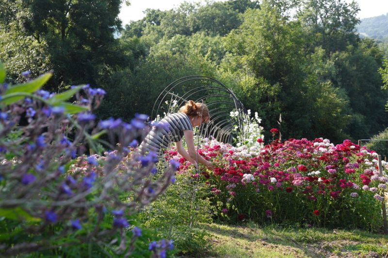 Flirting with Flowers