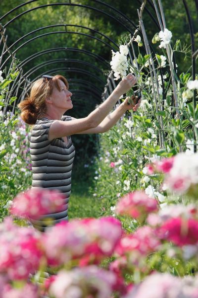 Flirting with Flowers