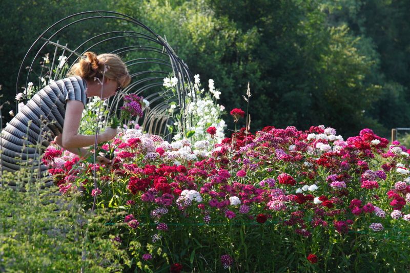 Flirting with Flowers