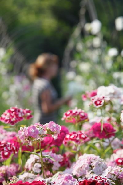 Flirting with Flowers