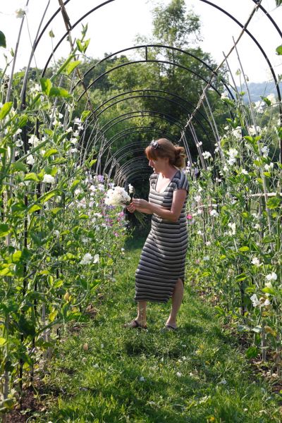 Flirting with Flowers