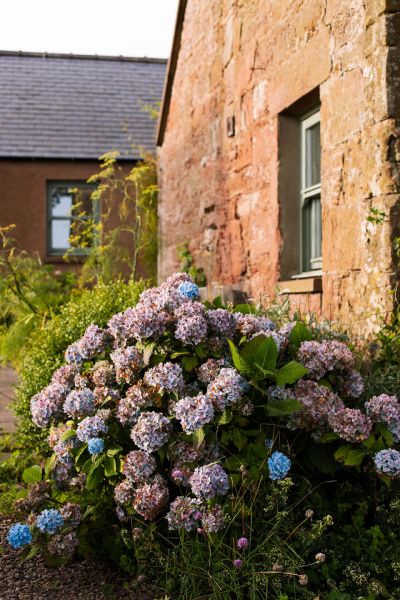 Scottish Cottage