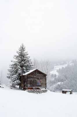 Swiss Winter Pearl