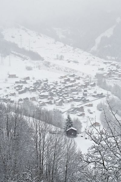 Swiss Winter Pearl