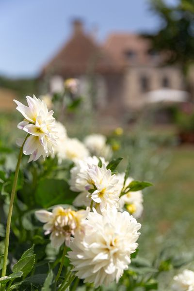 Beau Château