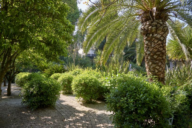 Villa French Riviera