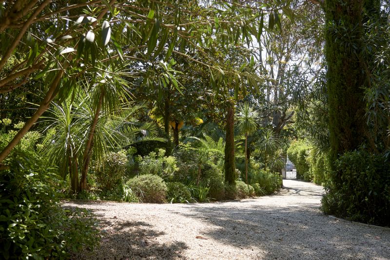 Villa French Riviera