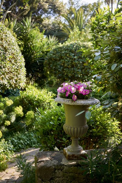 Villa French Riviera