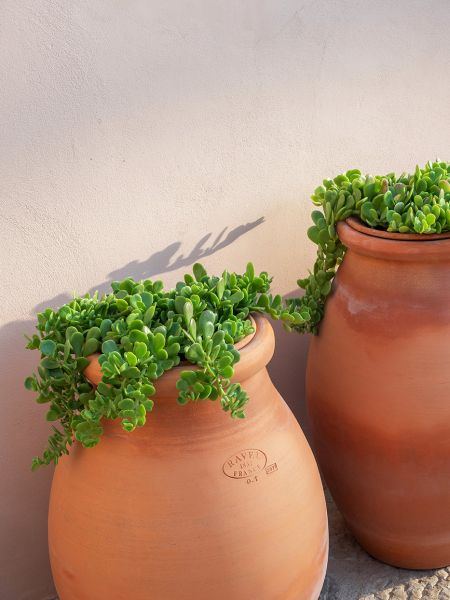 Swedish chic in Spain