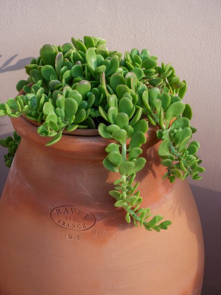 Swedish chic in Spain