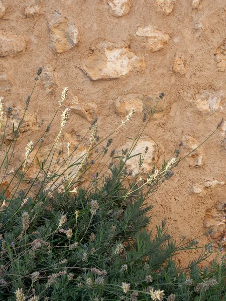 Swedish chic in Spain