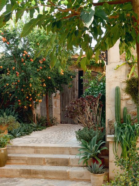 A Story of Splendour