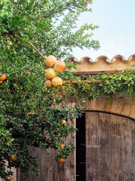 A Story of Splendour