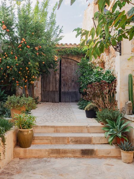 A Story of Splendour