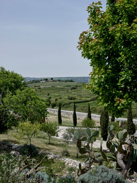 Casa Bellissima