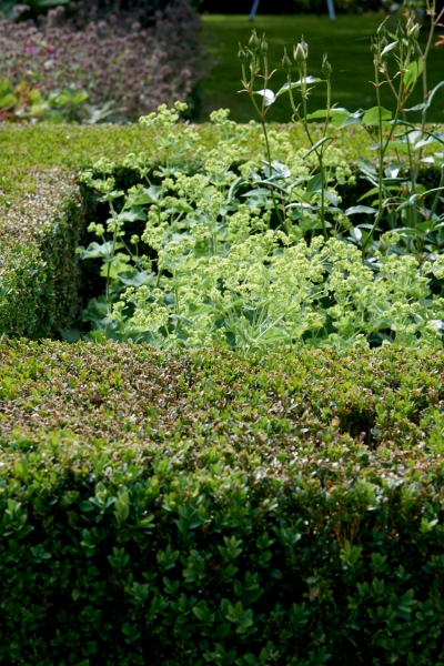 Green Fingers