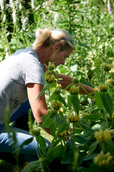 Green Fingers