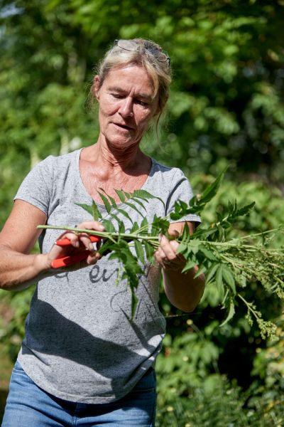 Green Fingers