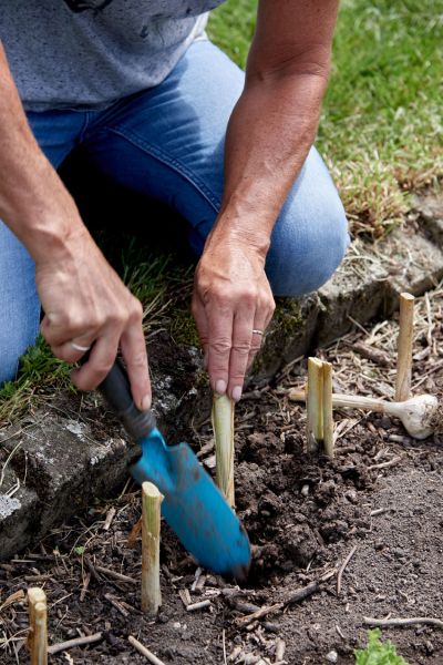 Green Fingers