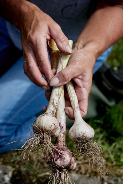 Green Fingers