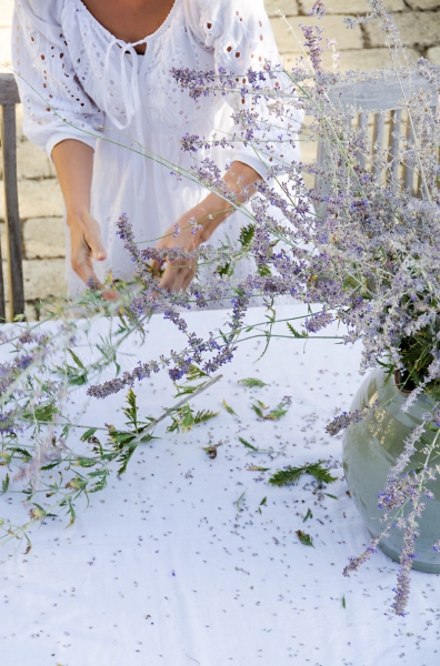 La Beauté de Provence