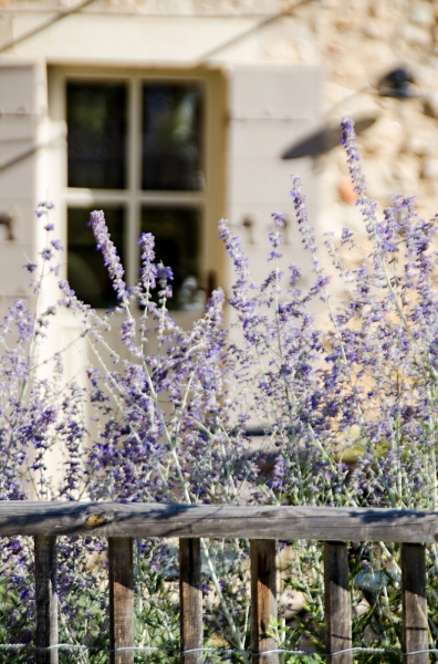 La Beauté de Provence