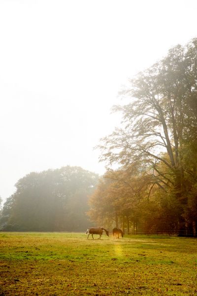 Smell of Autumn