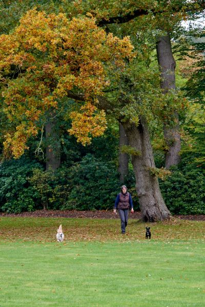 Smell of Autumn