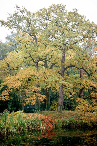 Smell of Autumn